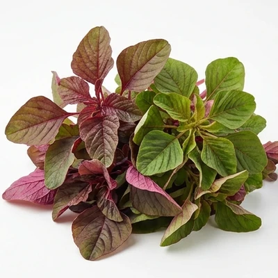Amaranth Leaves