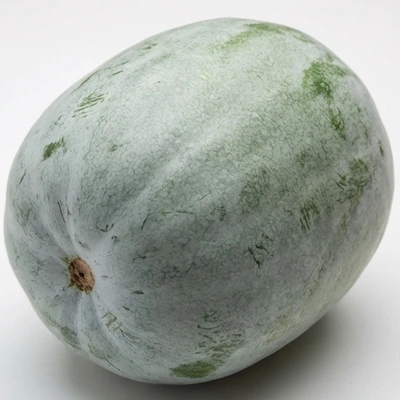 Ash Gourd