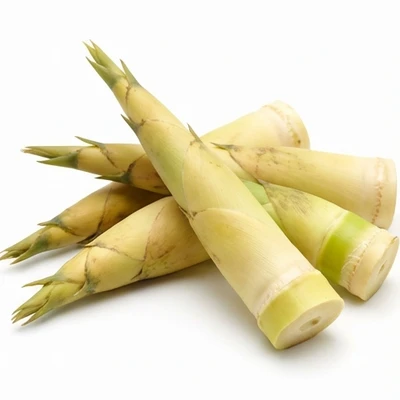 Bamboo Shoot