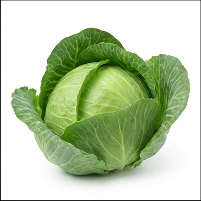 Cabbage
