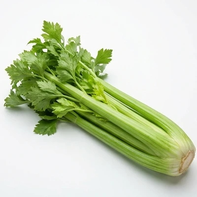 Celery
