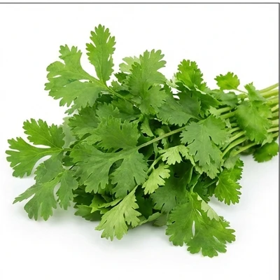 Coriander Leaves