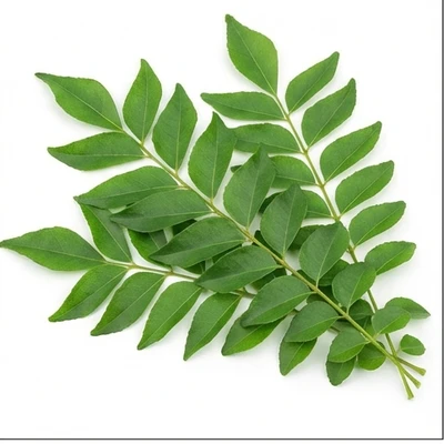 Curry Leaves