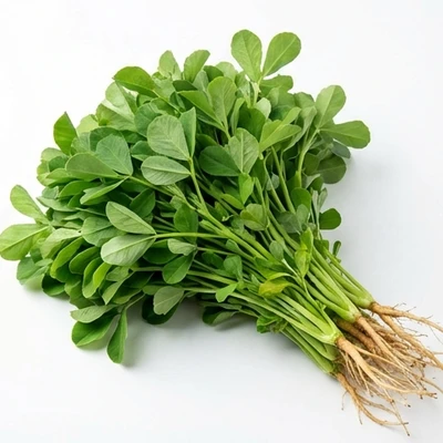 Fenugreek Leaves