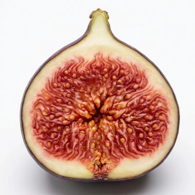 Fig