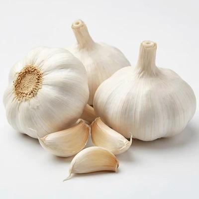 Garlic