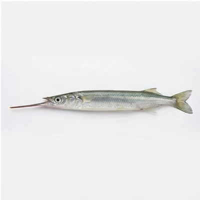 Halfbeak
