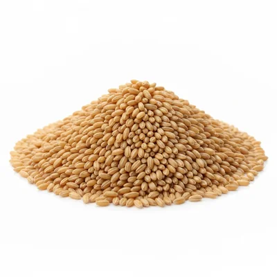 Horse Gram