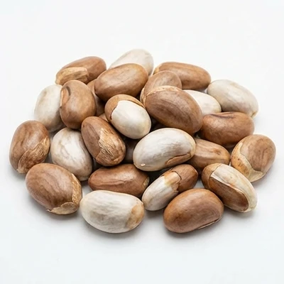 Jackfruit Seeds
