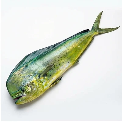 Mahi Mahi