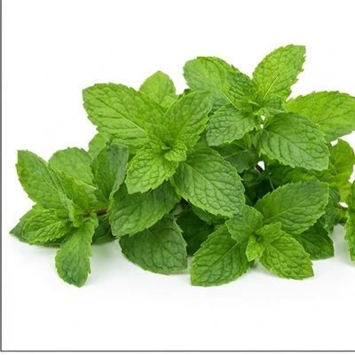 Mint Leaves