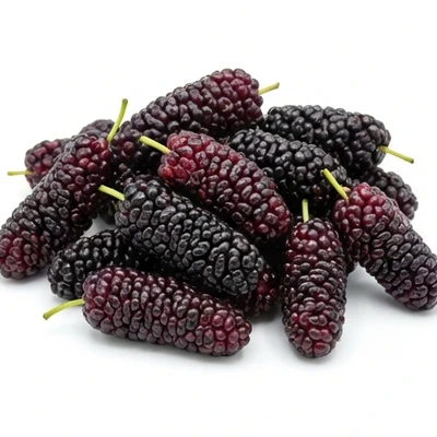 Mulberry