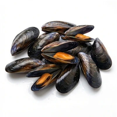 Mussels
