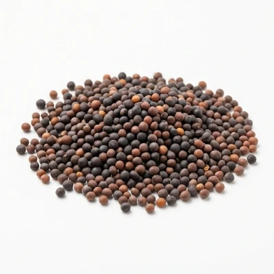 Mustard Seeds