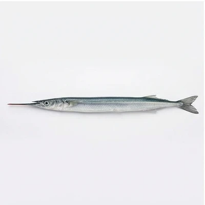 Needlefish