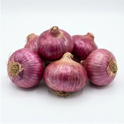 Onion