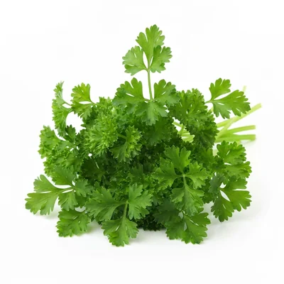 Parsley