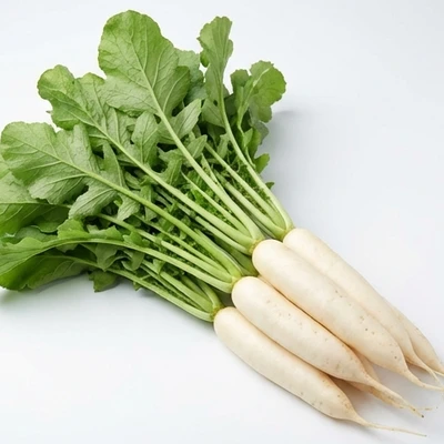 Radish
