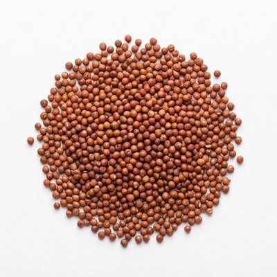 Finger Millet