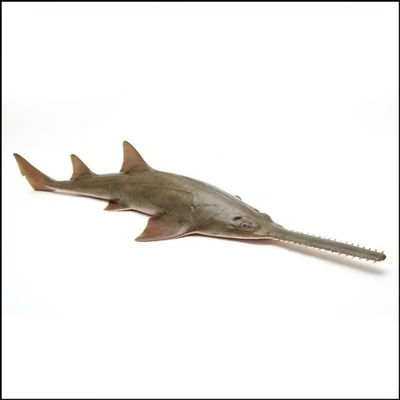 Sawfish