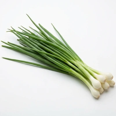 Spring Onion