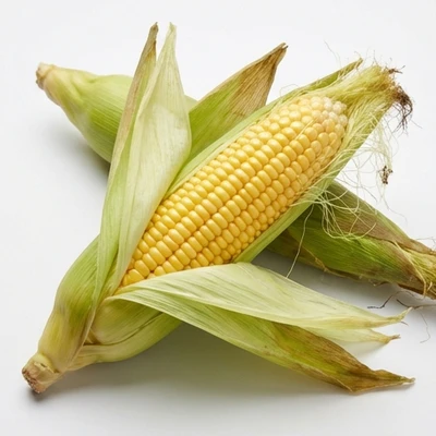 Sweet Corn