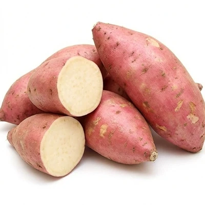 Sweet Potato