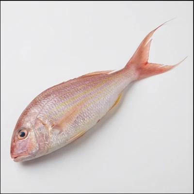 Threadfin Bream