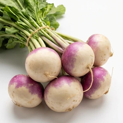 Turnip